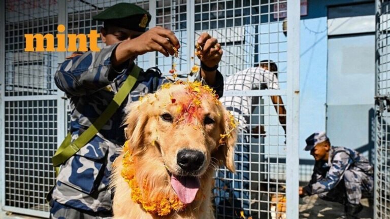 Kukur Tihar 2025: Nepal pays respect to dogs, worships canines with garlands, flowers; See images | Today’s news