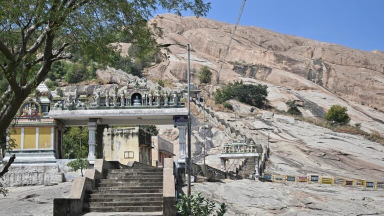 For now, no victim of animals in tirupparankndram: the third judge