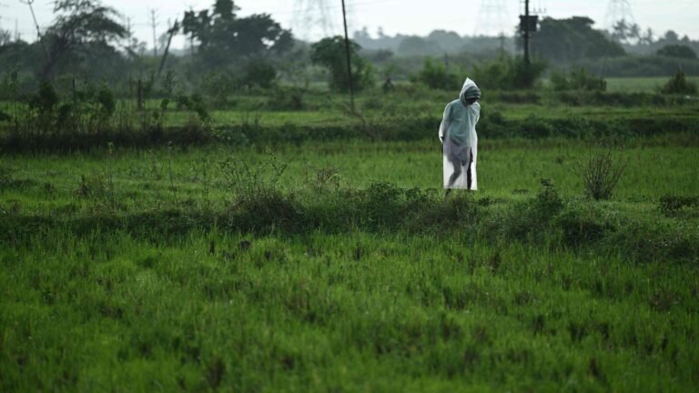 Current Weather Information: Depression over the Arabian Sea; MD predicts heavy rainfall in Tamil Nadu, Andhra, Karnataka | Today’s news
