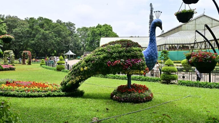 “The Road tunnel will leave six acres of land lalbagg, damaging the ecosystem”
