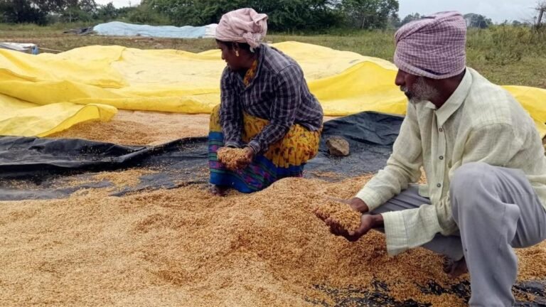 More than 1.8L of paddy has been recovered so far: Minister