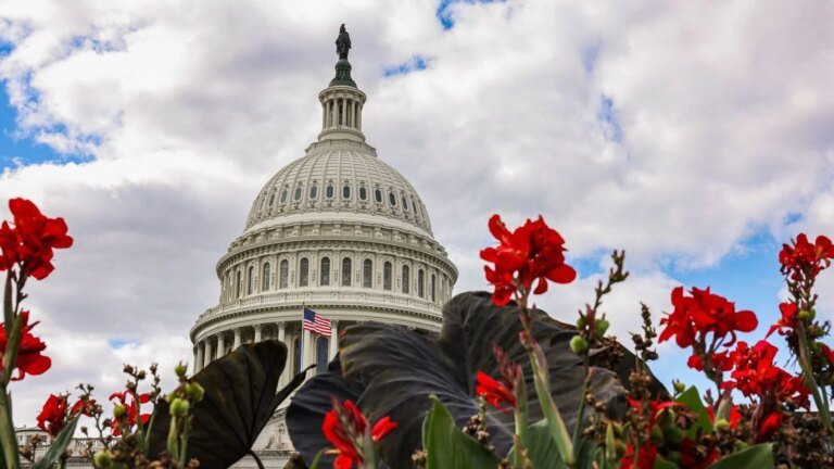 Bulk release! Trump admin akery over 4,200 federal workers in the middle of US government shutdown Tech Word News