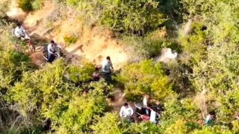 Police deployment of drones, raids of roosters organized in wooded areas