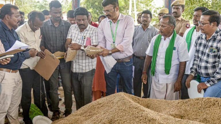 Central teams are assessing the moisture level of paddy fields in Tiruchi, Pudukkottai and Thanjavur