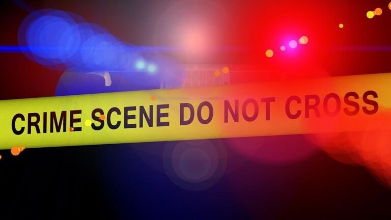 Chilling details of Staten Island murder: Teen beheaded mother’s boyfriend and scooped out his brain with a spoon | Today’s news