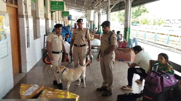 More than 3,500 police officers deployed in Vellore, nearby districts for Deepavali