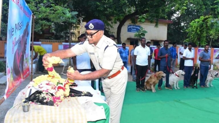 Sheeba the sniffer was laid to rest in Vijayawada
