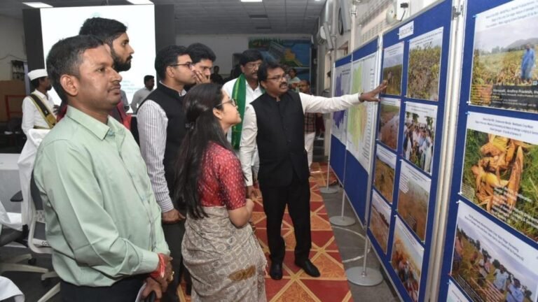 12,570 hectares of crops were damaged in the district, says Prakasam Collector