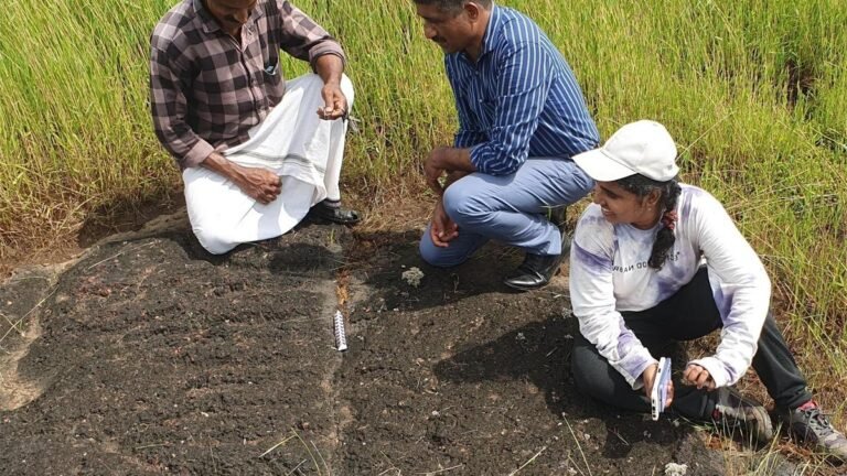 Carvings of falcons and snakes found at Erikkulam in Kasaragod