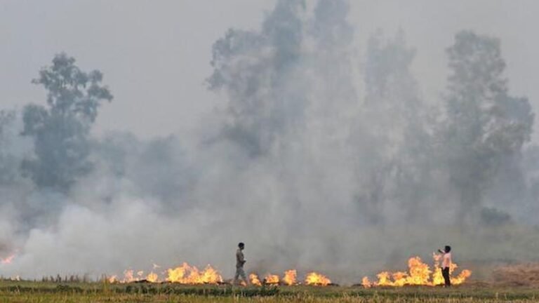 SC hearing on Delhi air pollution: Supreme Court orders combined action on stubble burning; governs Punjab and Haryana compliance with CAQM orders