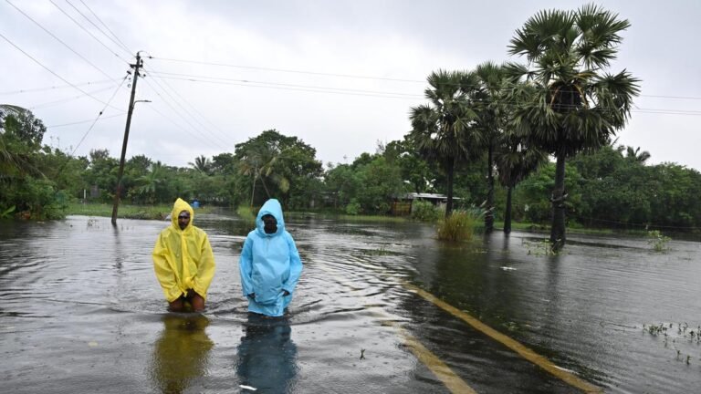 Cyclone Ditwah: Three people died in rain-related incidents in Tamil Nadu