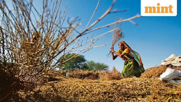 PM KISAN: Check When PM Modi Releases 21st Installment of Farm Scheme, Amount, Eligibility — All You Need to Know | Today’s news