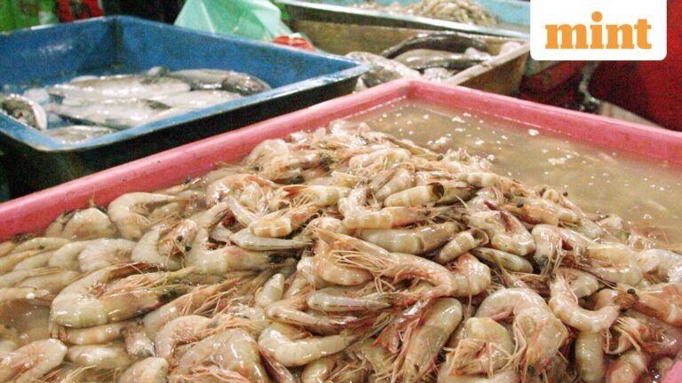 India’s seafood exports diversify away from US after tariffs; Shrimp shipments up 18% in first 5 months of FY26: Report | Today’s news