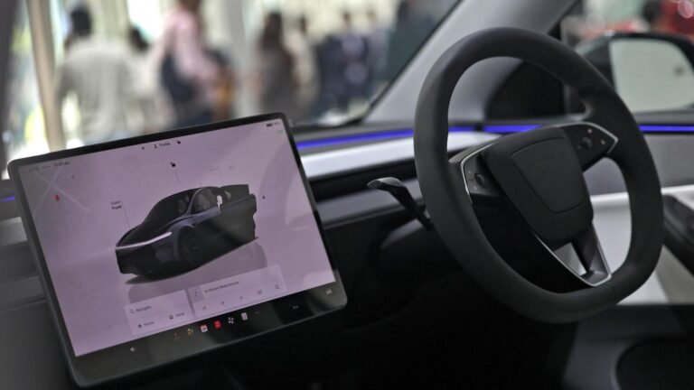 Tesla highlights low maintenance and fuel costs to woo Indian buyers