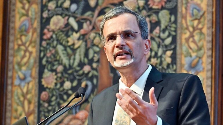 To tackle tariffs, focus on increasing competitiveness, says CEA