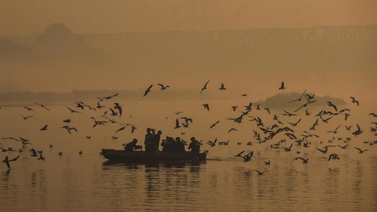 The Yamuna Boat Tourism Project will offer a green tourism experience with electric-solar boats