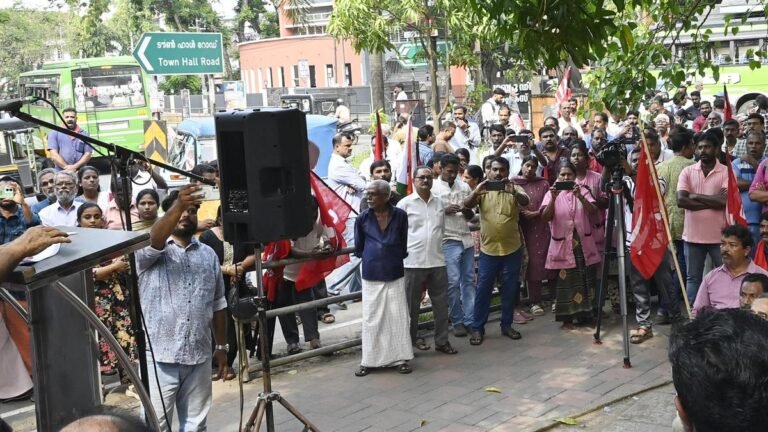 There is no need to create rules to implement labor laws, says Elamaram Kareem