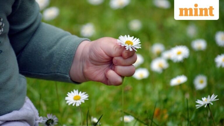 Shocking: Man plans to murder own 7-year-old son for insurance money, gets ₹1.5 million reward | Today’s news