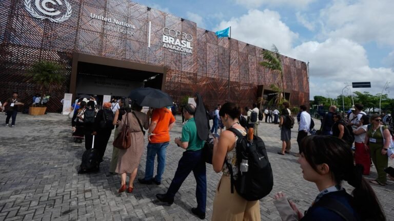 Don’t use COP30 to change Paris Agreement ‘architecture’: India