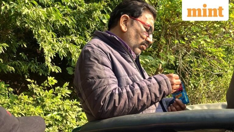 Guide Jim Corbett banned after viral post claims he slept, littered and offered tobacco on safari | Today’s news