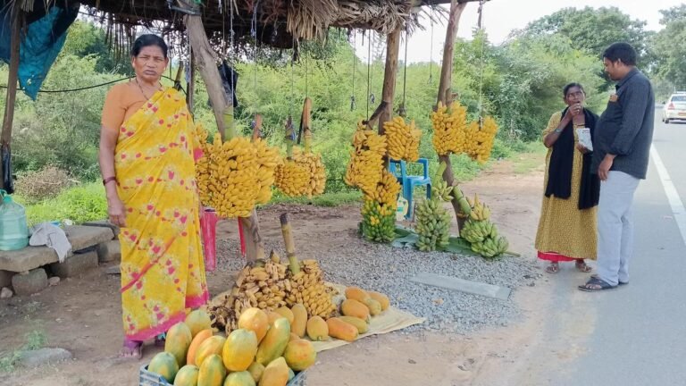 From harvesting riches to facing challenges, changing horticulture leaves Rayalaseema farmers in the lurch