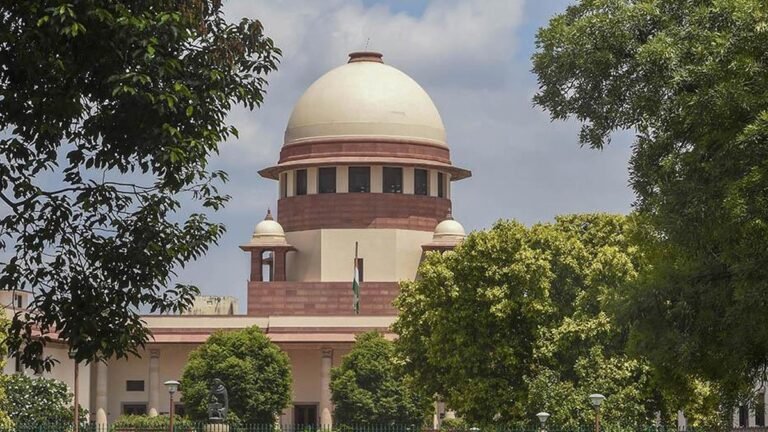 Is being at a protest a crime, asks Delhi riot accused Supreme Court