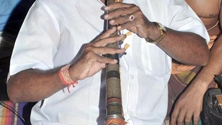 The dedication of the Adikumbeshwarar temple will also illuminate the stone nagaswaram