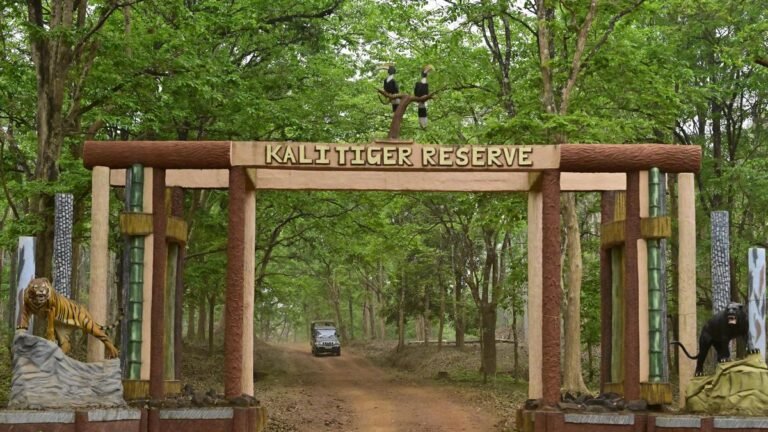 An activist signs tourism activities near the Kali Tiger Reserve; NTCA requests a report from the state