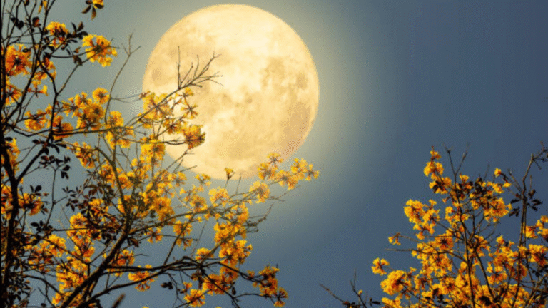 Is there a full moon tonight? When is November Beaver Moon 2025? | Today’s news