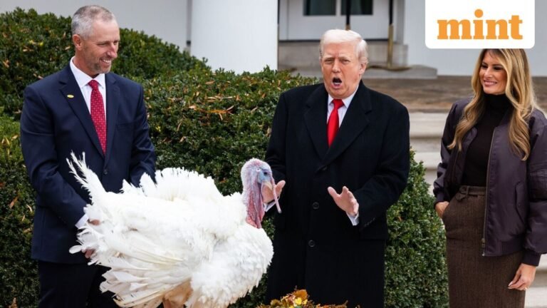 Thanksgiving tradition continues: Trump pardons Gobble and Waddle turkeys | Follow | Today’s news