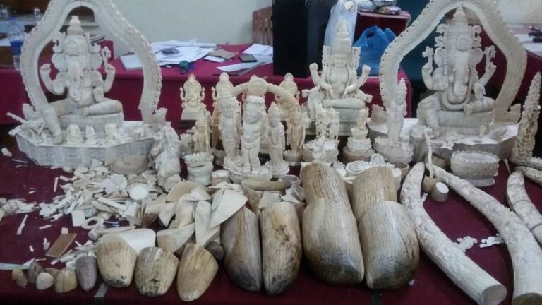 Former forest official’s book sheds light on Kerala’s dark underworld of wildlife trade and superstition