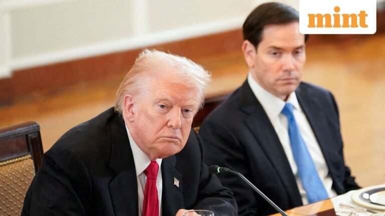 No Green Card for US Refugees? Trump admin to re-interview asylum seekers admitted under Biden, report says | Today’s news