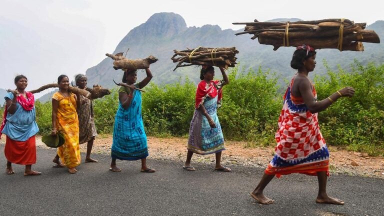 BJP pushing tribals into crisis, says Congress