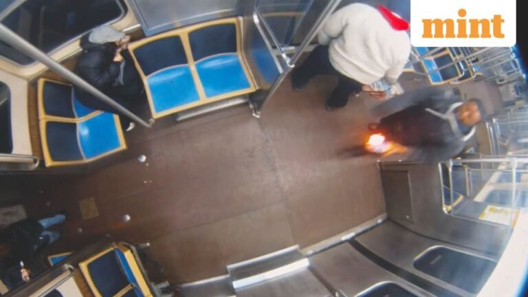 Who is Lawrence Reed? Man with 72 prior arrests sets woman on fire on Chicago train, now hit with terrorism charges | Today’s news