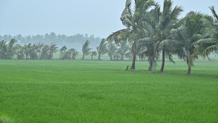 Cyclone Ditwah brings torrential rains to southern coastal areas