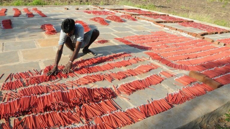 NGT seeks report from TN government on safety in firecracker units