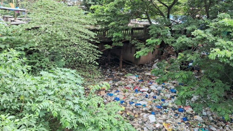 The work on Vallakadavu Bridge has not yet started