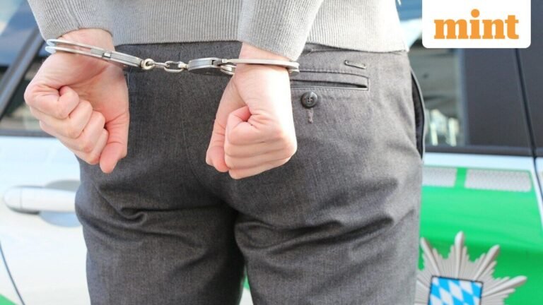 Indian truck driver arrested by ICE nearly a year after fatal crash in Cheat Lake, West Virginia | Today’s news