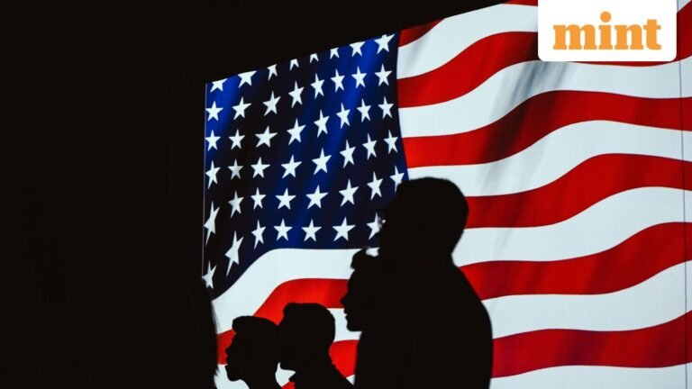 US visa application approved in minutes for father, 2-year-old daughter: Reddit user shares experience | Today’s news