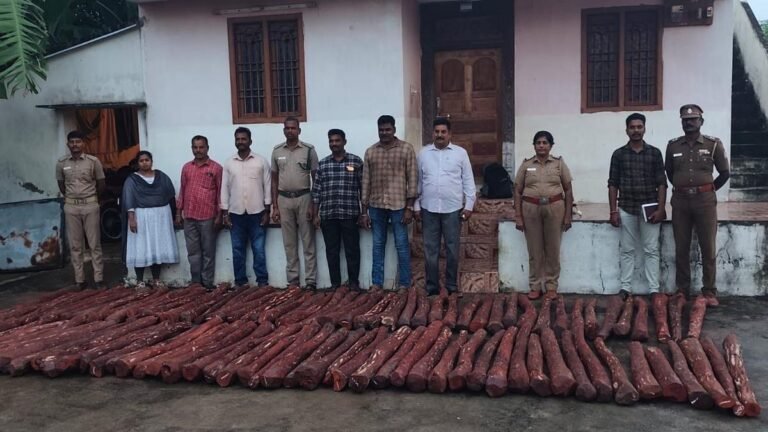 Forest officials seized red grinders worth ₹1.5 million in Tiruvannamalai