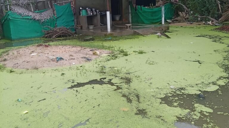 Fishing villages in Sirkazhi reel under water stagnation, sea erosion