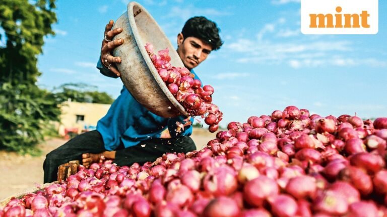 The study found that the onion buffer reduces fluctuations in retail prices and increases farmers’ incomes