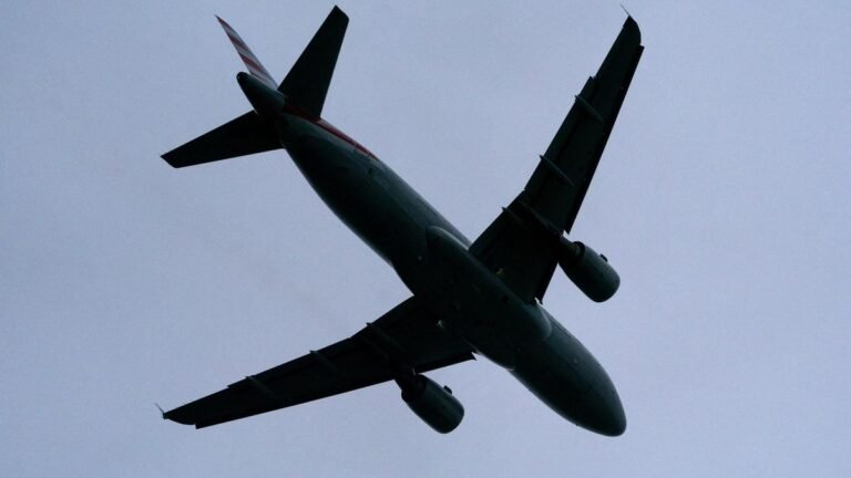 Pilot bodies complain to House panel about ‘corruption’ in DGCA, ministry