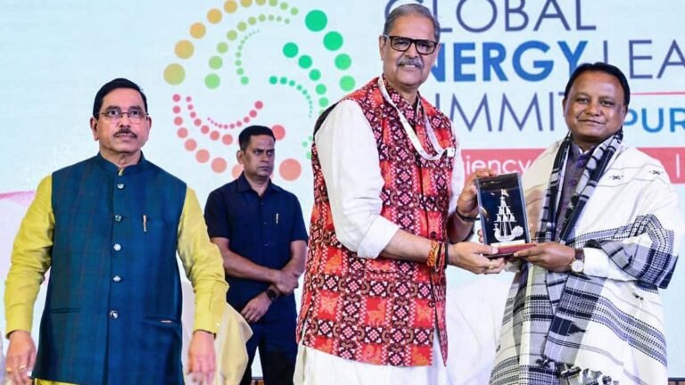 India needs a diversified portfolio of future-ready power system technologies, say experts