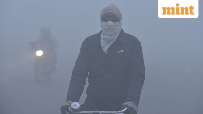 Are schools in Delhi-NCR, UP closed today? IMD issues red alert for dense fog | Today’s news