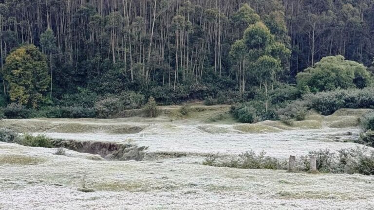 Munnar records -1°C, tourism sector sees major pressure