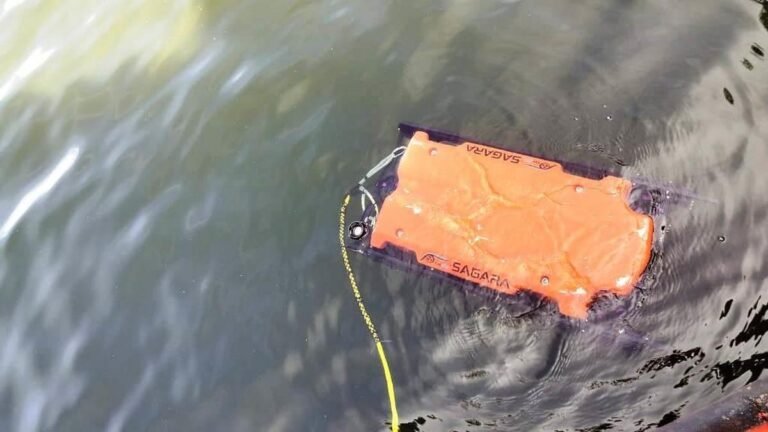 RoV study at Mullaperiyar to assess the structural integrity of the dam