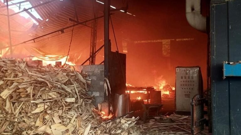 Fire engulfs a plywood factory in Perumbavoor