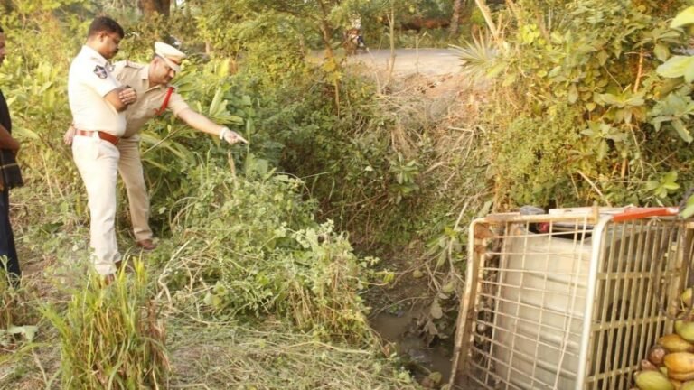 Three died when a truck fell into a canal in Bapatla district