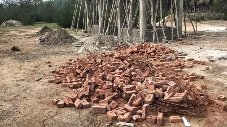 Over 1,500 coconut trees, acres of Casuarina plantation destroyed due to construction near beach: West Godavari district fishermen